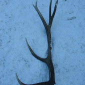 Konečne, ale vlanajší