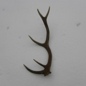 Konečne tohoročný