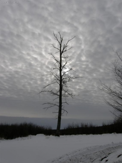 Osamelý