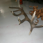 Zhod z našho PZ, škoda že nie môj