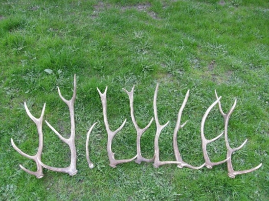 Keš sa dárí koncom sezóny