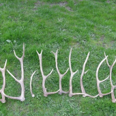 Keš sa dárí koncom sezóny