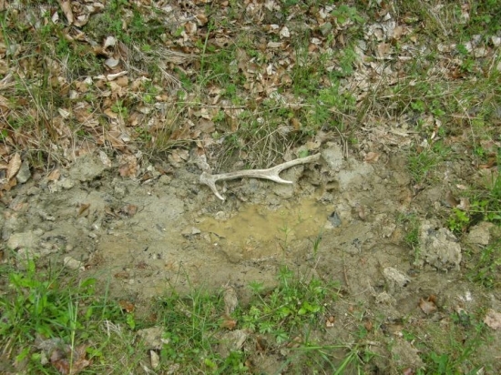 Na lehne, alebo vode?