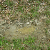 Na lehne, alebo vode?