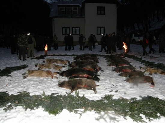 Úspešná poľovačka