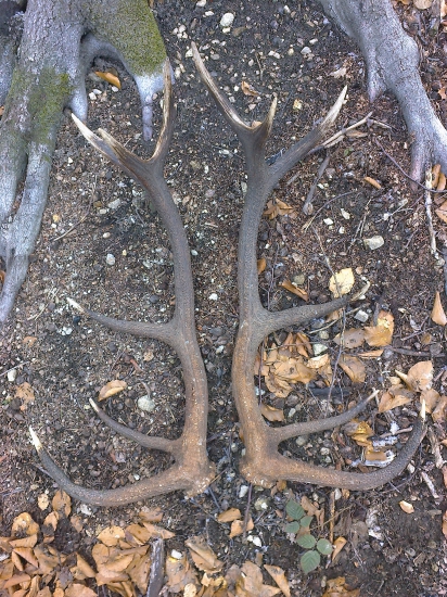 12torak kg 4,5,,spolu