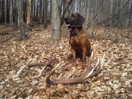 Velkonočna prechadzka