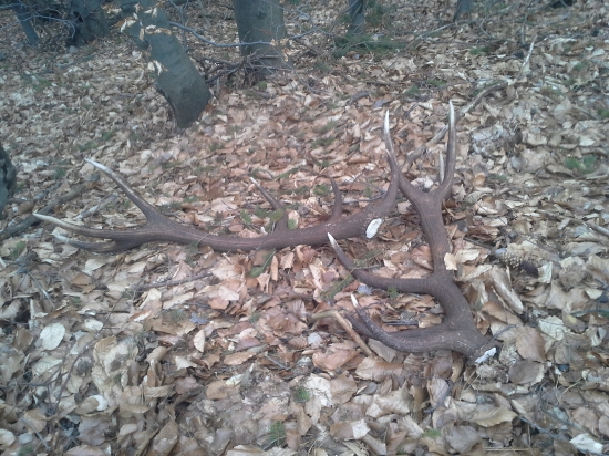 Takto na mňa čakali pekne spolu...