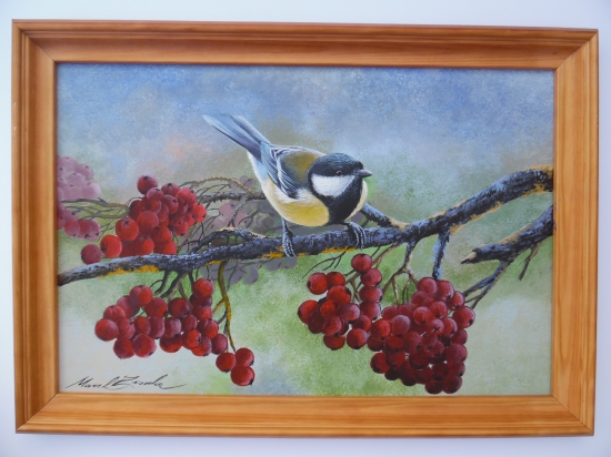 Sýkorka (môj obľúbený vtáčik)