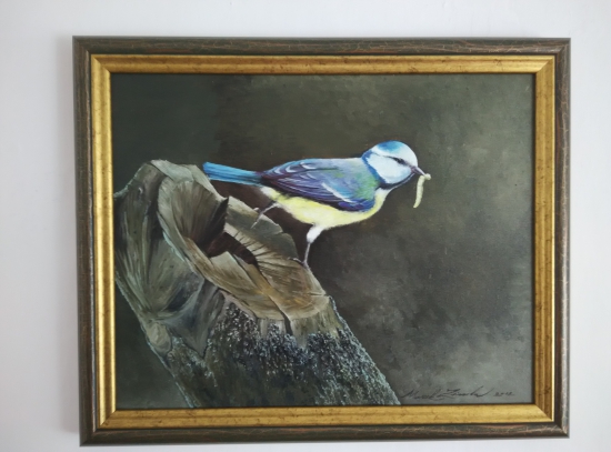 Môj obľúbenec z vtáčej ríše