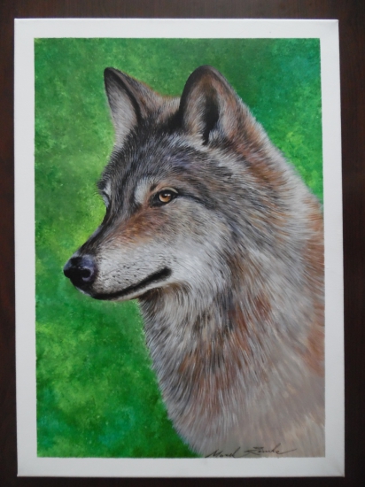 Portrét vlka