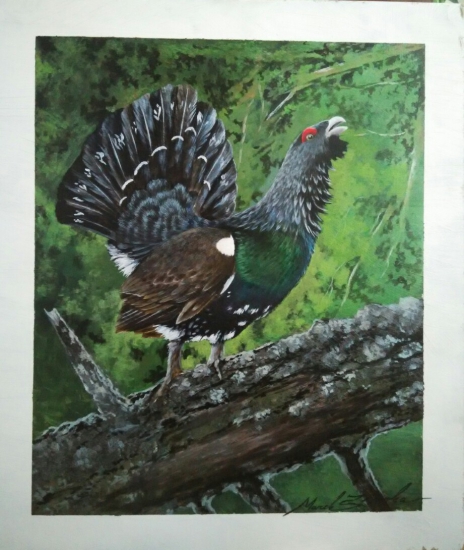 Tok Tetrova hluchana