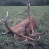 druhá veková trieda- rarita