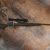 Mosin nagant 1891/30