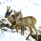Stále spolu ♥