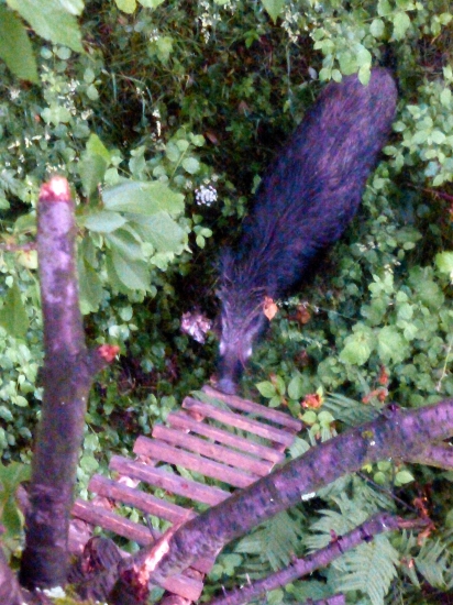 V poslednej chvíli :D