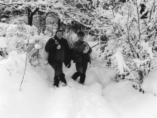 užitočná prechadzka