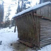 opäť plný :