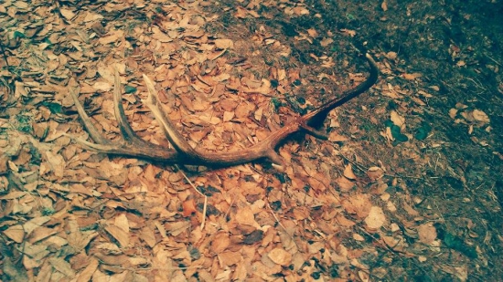 aj na mna sa usmialo štastie