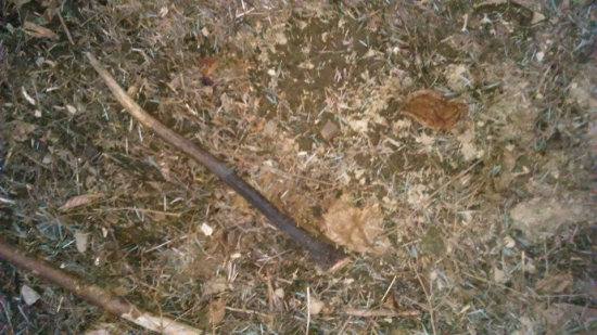 neskoré prekvapenie