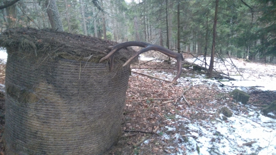 Dnes trošku netradične