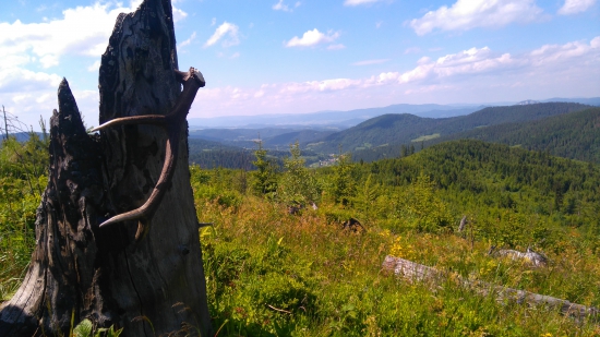 už som ani nedúfal