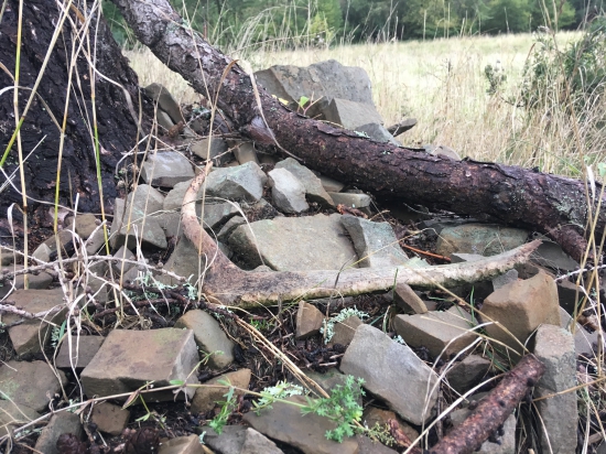 Ten si  ale musel poležať