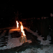 výřad