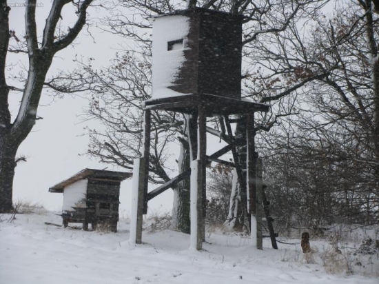 moje prvni kazatelna...