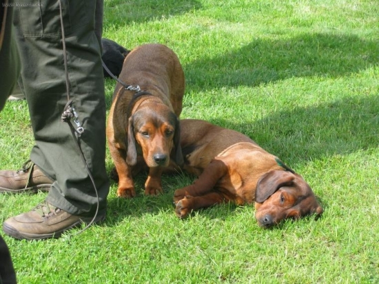 Bonitace ABJ- fenky ktere se mi nejvic libily