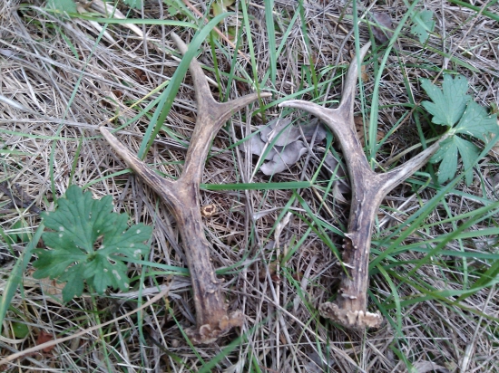 odležane ale spolu.