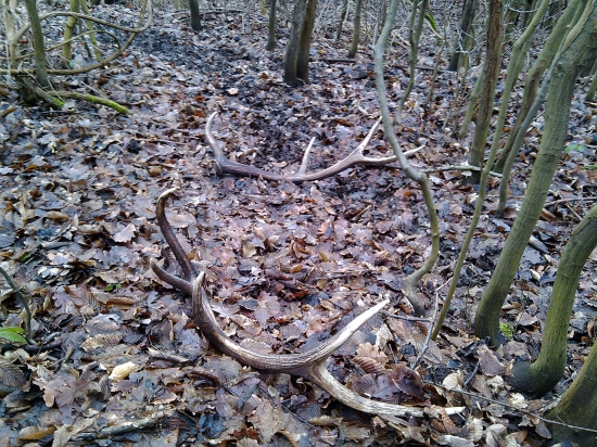 takto na mna počkaly