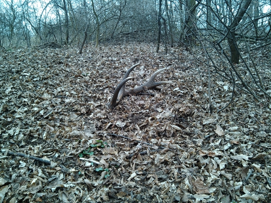 Velkonočný 2 čerstvy