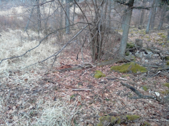 Ten pocit ked ho zbadaš....a on je odvlani