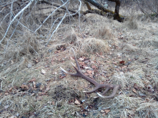 Prvý...potom ešte dva