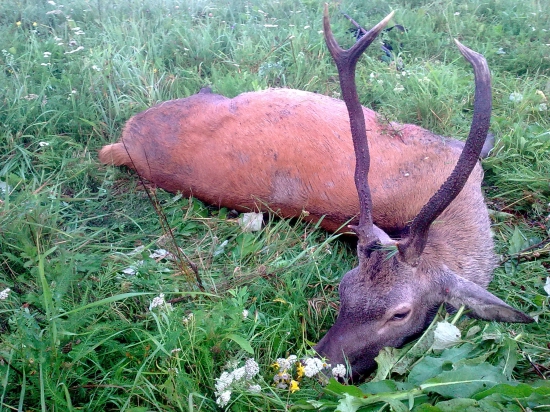 Vysnívaný - vychodený...a prvý