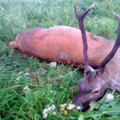 Vysnívaný - vychodený...a prvý