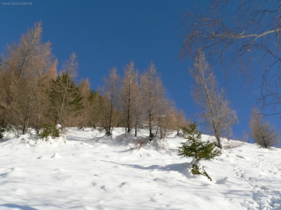 Už to hore nie je ďaleko...