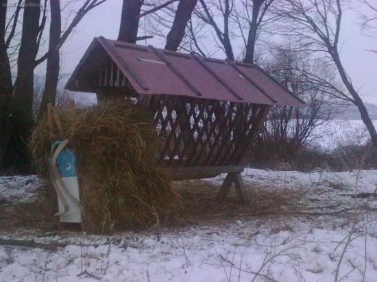 O chvíľku môžu hody začať
