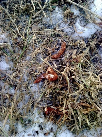 Po rokoch sú späť