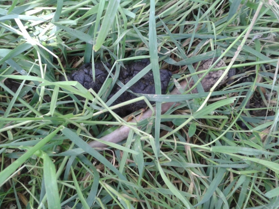 odložil aj naložil