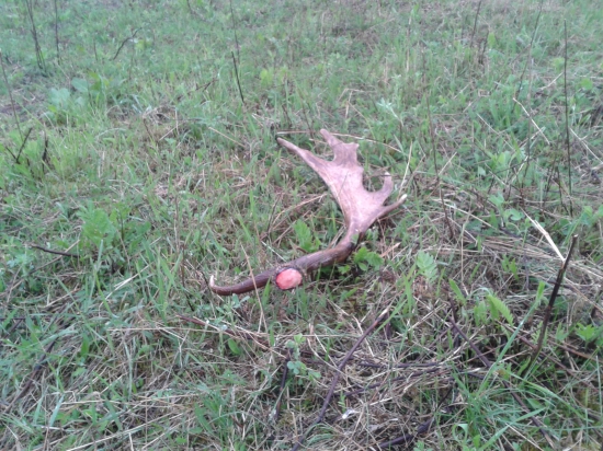 pár minút zhodený