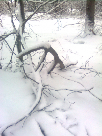 romantika ako na vianoce