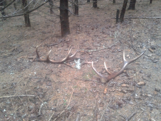 nepravidelný 10-toráčik