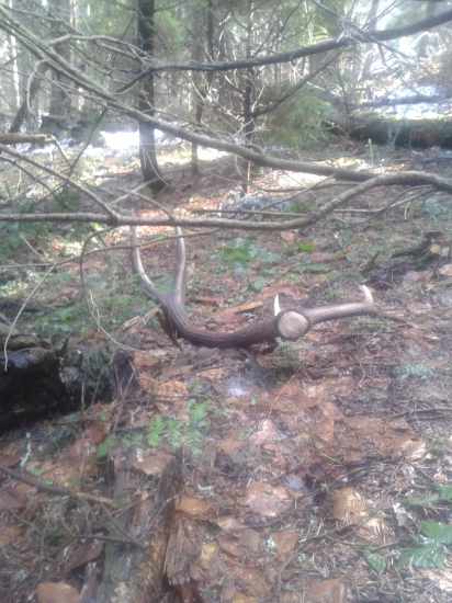 Deň-dva tam už ležal