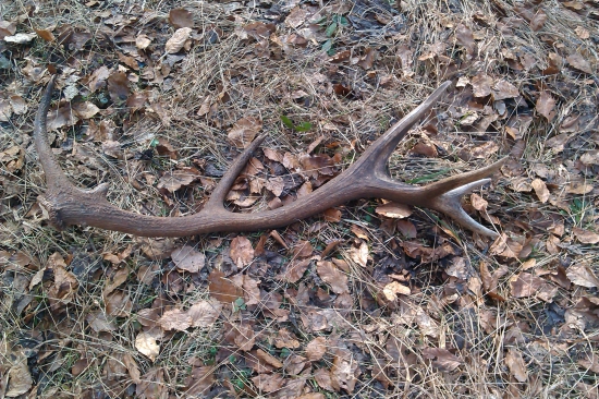 prvý v tejto sezóne