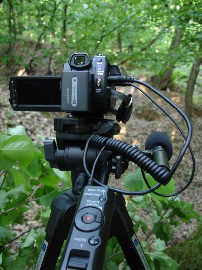 čakanie pri norách..