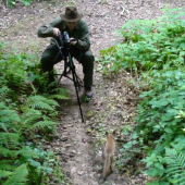 smelá líštička..