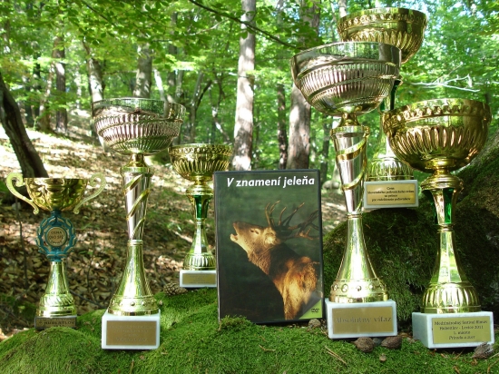 moje dvd s udelenými oscarmi..