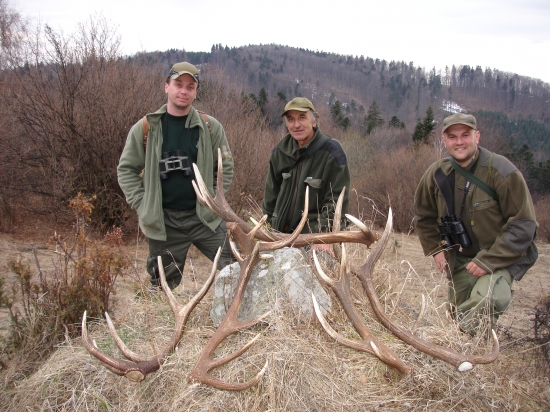 uhadzovanie haluziny  :-)